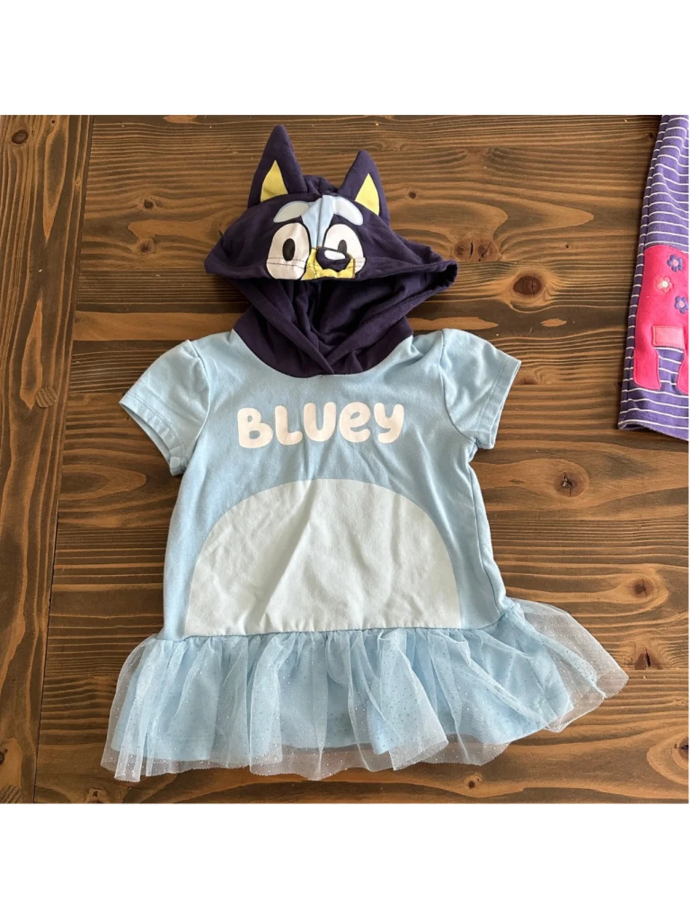 Girls Clothing Lot 2T Nike Bluey Dress Swimsuit Corgi Dino 5 Pc